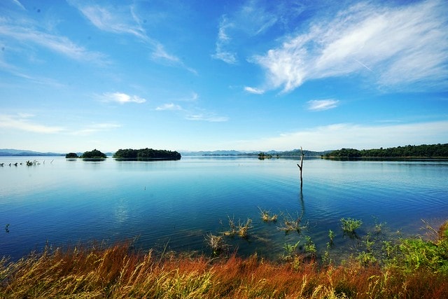 20251102-5oeir 20251102-5oeir