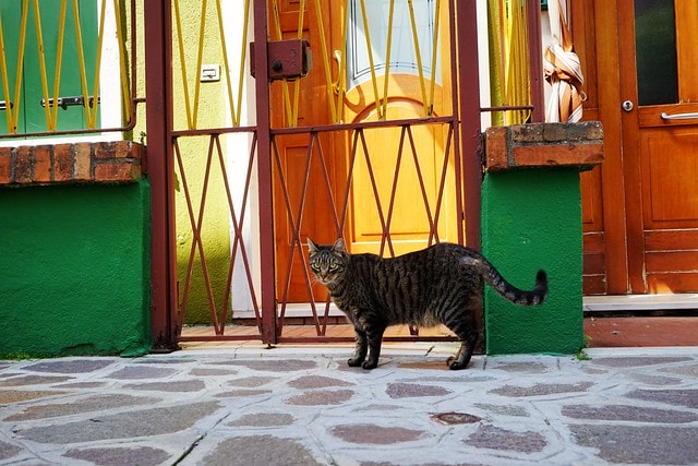 20251102-6nj44 20251102-6nj44