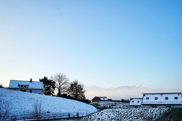 20251102-79x5u 20251102-79x5u