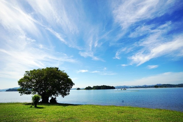 20251102-ef301 20251102-ef301