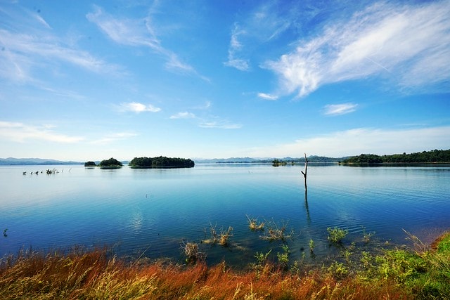 20251102-g0tcf 20251102-g0tcf