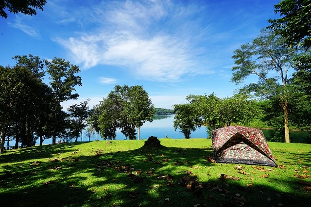 20251102-lkpyn 20251102-lkpyn