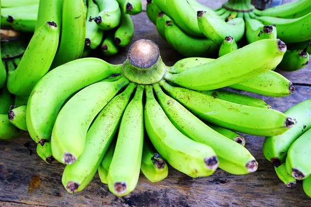 20251102-ntx4q 20251102-ntx4q