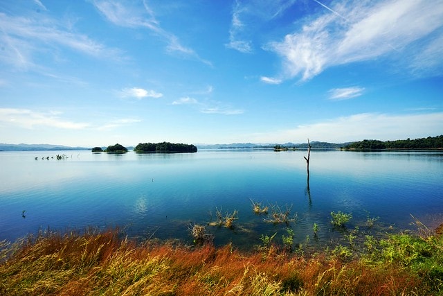 20251102-o12us 20251102-o12us