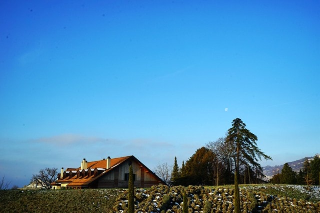 20251102-qpd4s 20251102-qpd4s