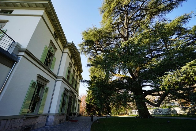 20251102-rchc7 20251102-rchc7