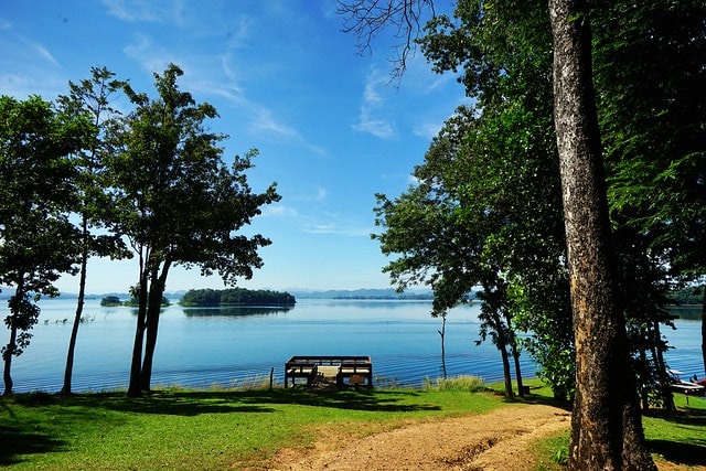 20251102-wfa1h 20251102-wfa1h