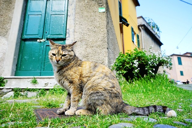 20251102-0nj92 20251102-0nj92