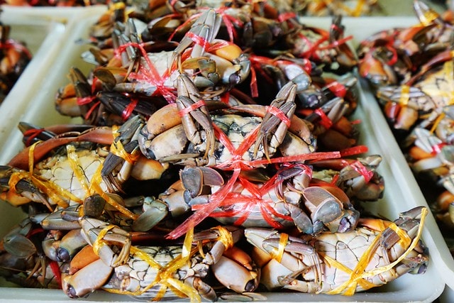 20251102-0y4m9 20251102-0y4m9