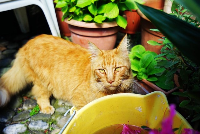 20251102-3val3 20251102-3val3