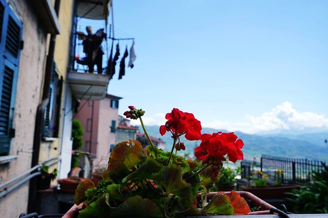 20251102-3y26t 20251102-3y26t