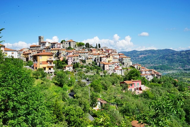 20251102-77b2e 20251102-77b2e