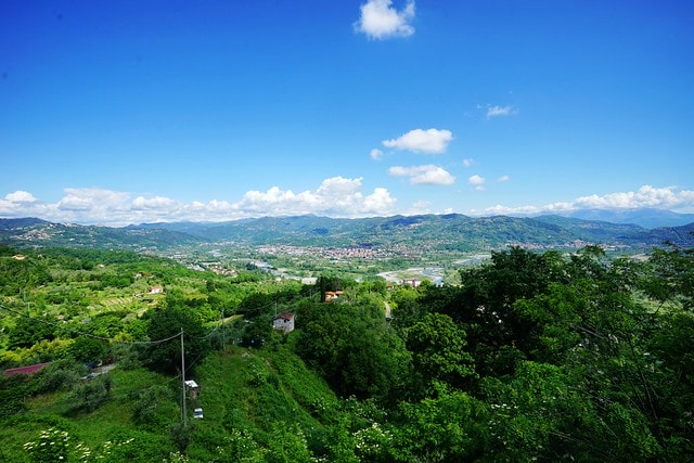 20251102-8dbjc 20251102-8dbjc