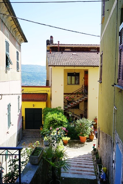 20251102-8nlxx 20251102-8nlxx