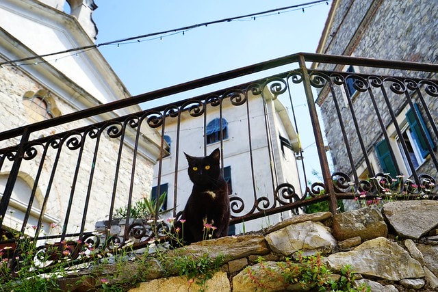 20251102-b73tu 20251102-b73tu