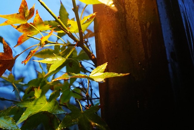 20251102-c013n 20251102-c013n