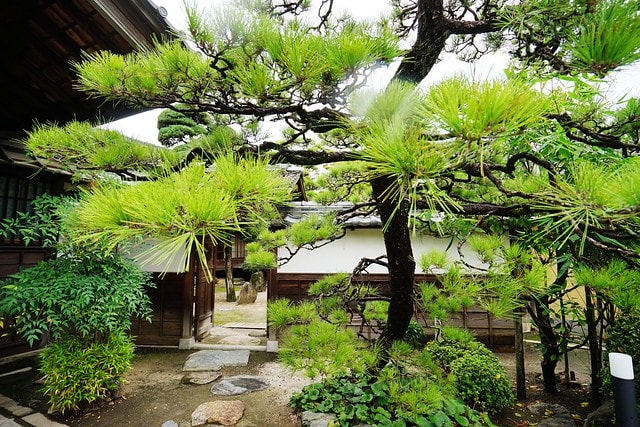 20251102-djdgi 20251102-djdgi