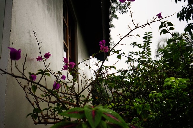 20251102-qo04h 20251102-qo04h