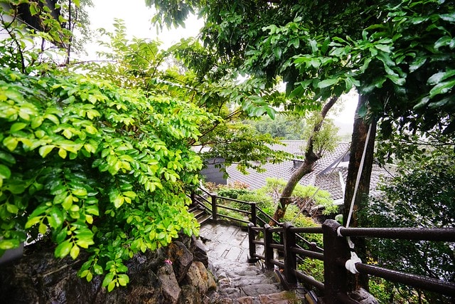 20251102-sqzms 20251102-sqzms