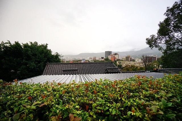 20251102-vwnfy 20251102-vwnfy