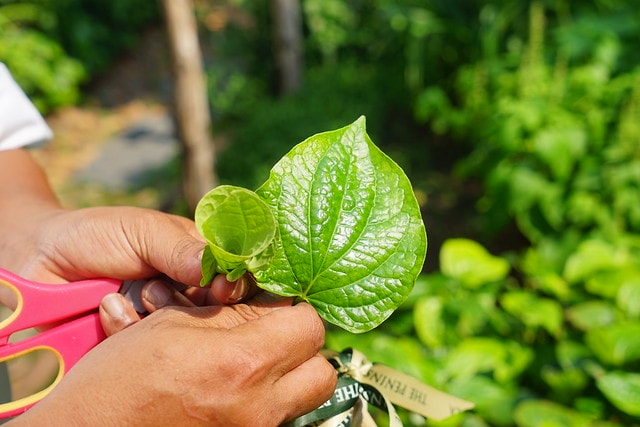 20251102-w3bby 20251102-w3bby