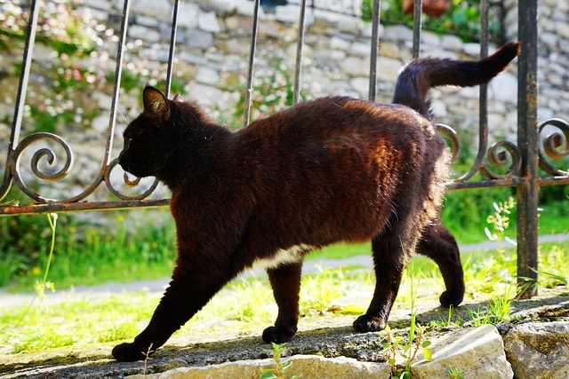 20251102-wnbrl 20251102-wnbrl