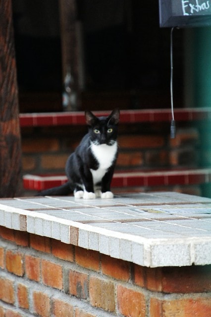 20251102-y8d4n 20251102-y8d4n