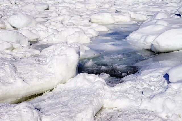 20251102-01659 20251102-01659