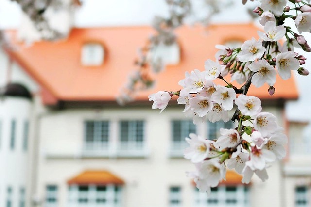 20251102-0ole3 20251102-0ole3