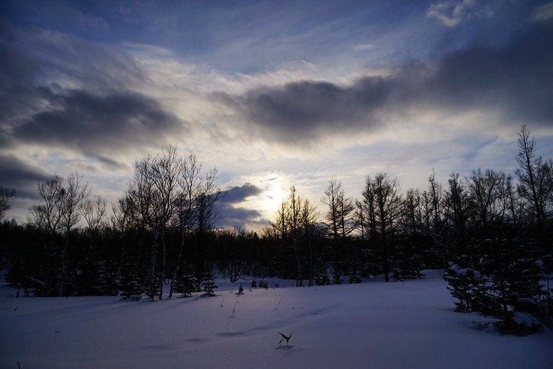 20251102-224tg 20251102-224tg