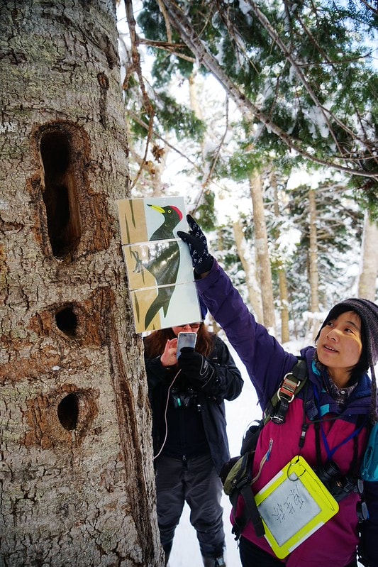 20251102-3iqrf 20251102-3iqrf