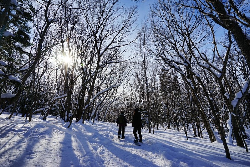 20251102-5pdj0 20251102-5pdj0