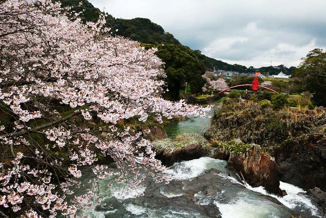 20251102-78b84 20251102-78b84