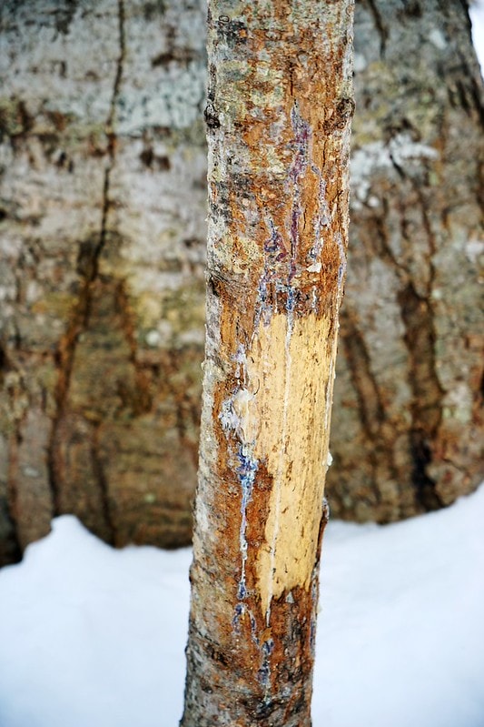 20251102-822dc 20251102-822dc