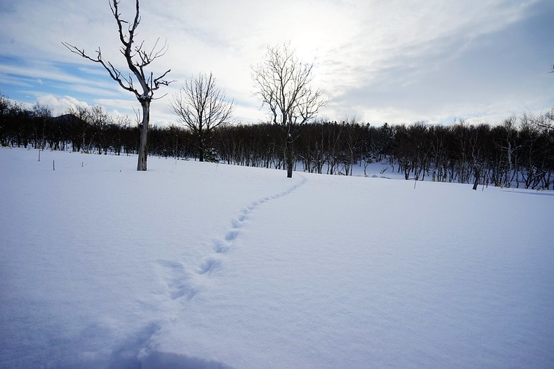 20251102-9tfrb 20251102-9tfrb