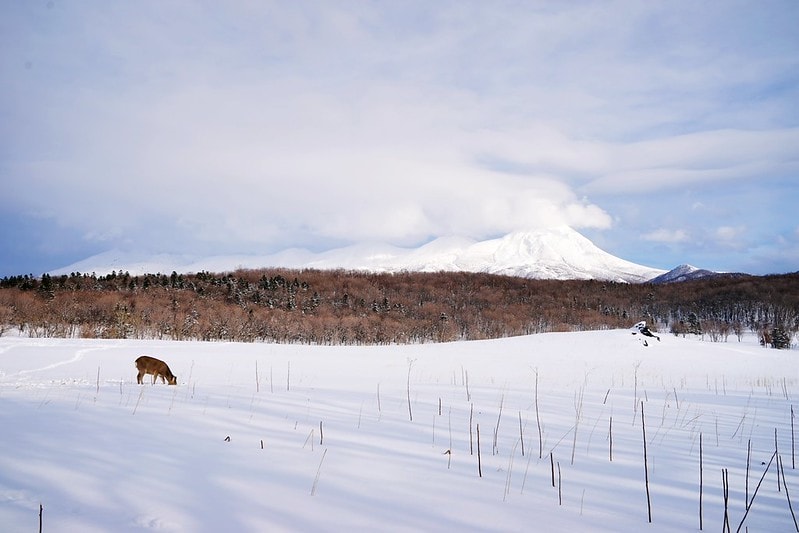 20251102-a408n 20251102-a408n