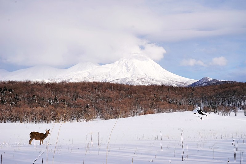 20251102-b0taw 20251102-b0taw