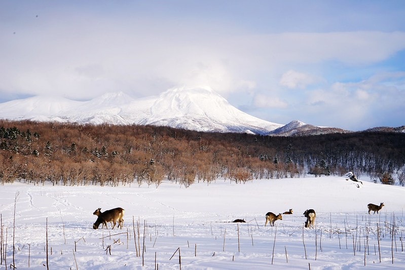 20251102-cbsit 20251102-cbsit