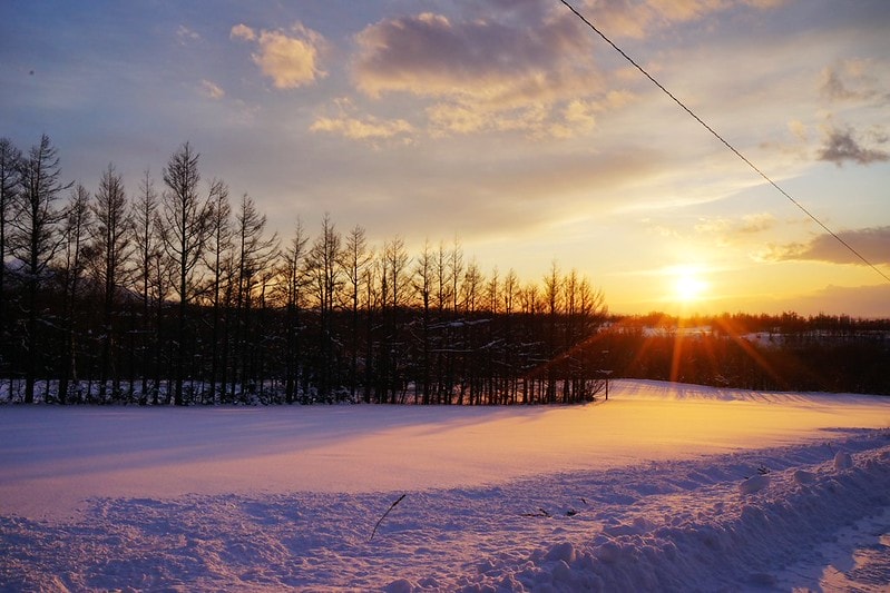 20251102-cuhfz 20251102-cuhfz