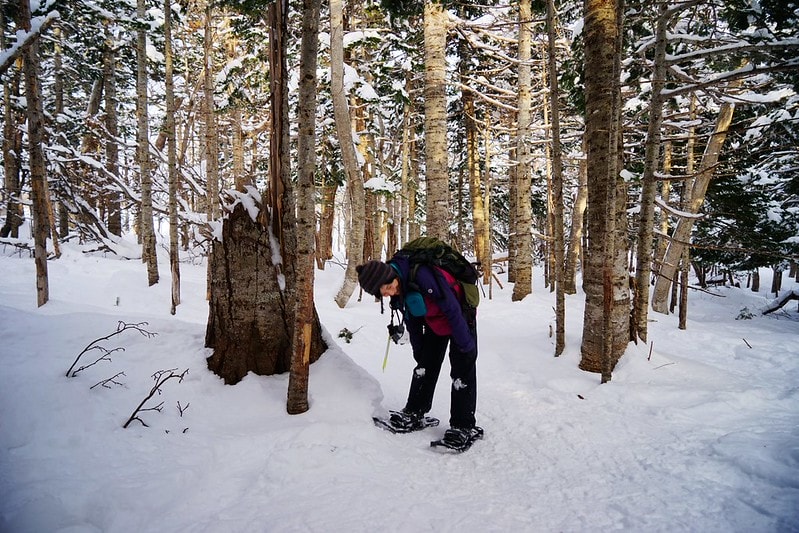 20251102-df1lw 20251102-df1lw