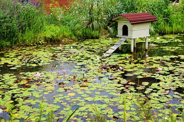 20251102-dmea8 20251102-dmea8