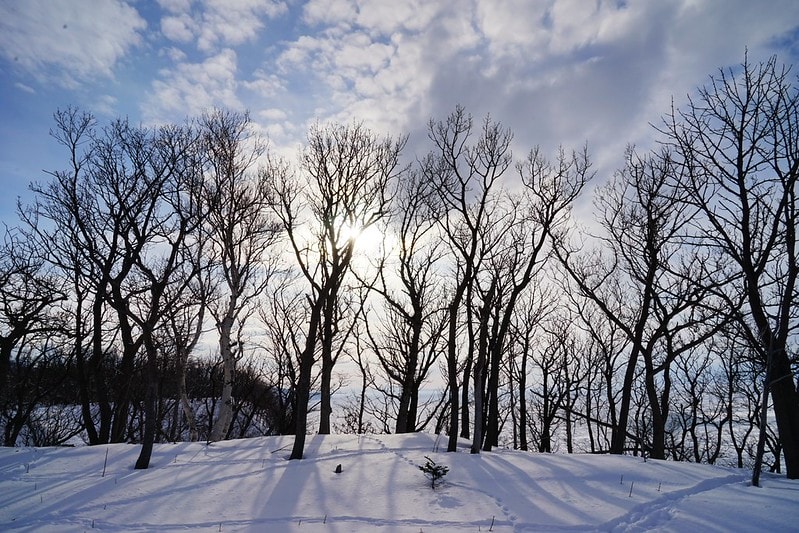 20251102-etejo 20251102-etejo