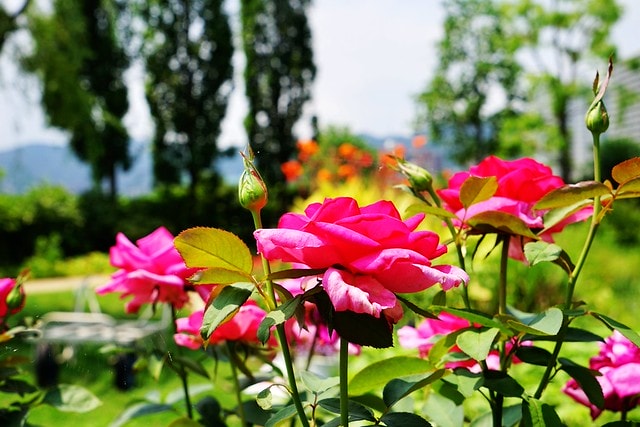 20251102-fjsh1 20251102-fjsh1