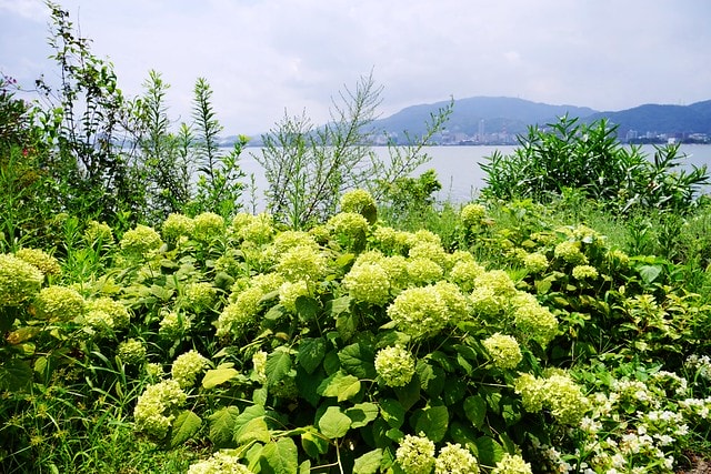 20251102-gay9x 20251102-gay9x