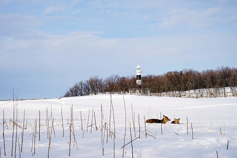 20251102-hzors 20251102-hzors