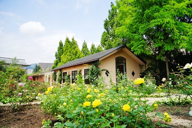 20251102-i1da3 20251102-i1da3