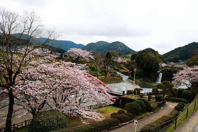 20251102-jb5zw 20251102-jb5zw