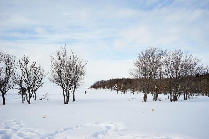 20251102-mvwrj 20251102-mvwrj