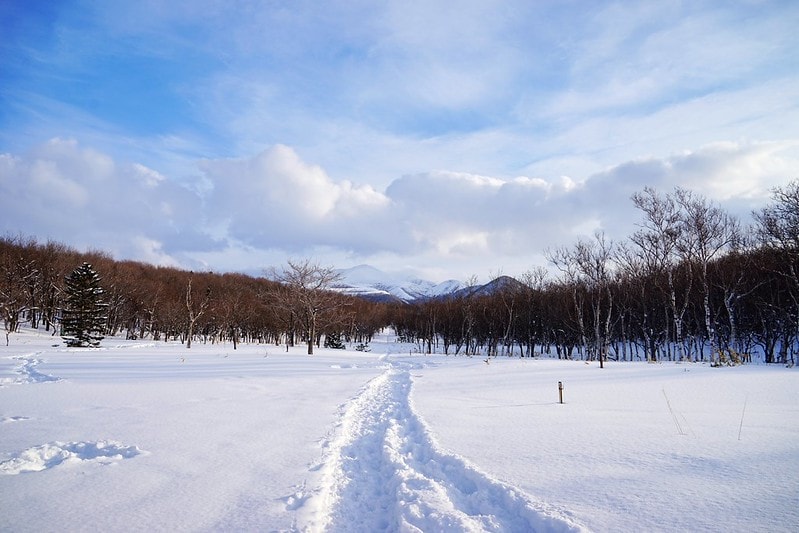 20251102-nydcw 20251102-nydcw