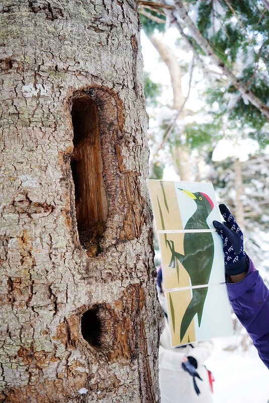 20251102-rn5mt 20251102-rn5mt